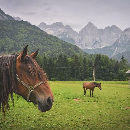 Klass 210 Kranjska Gora Dış mekan fotoğraf