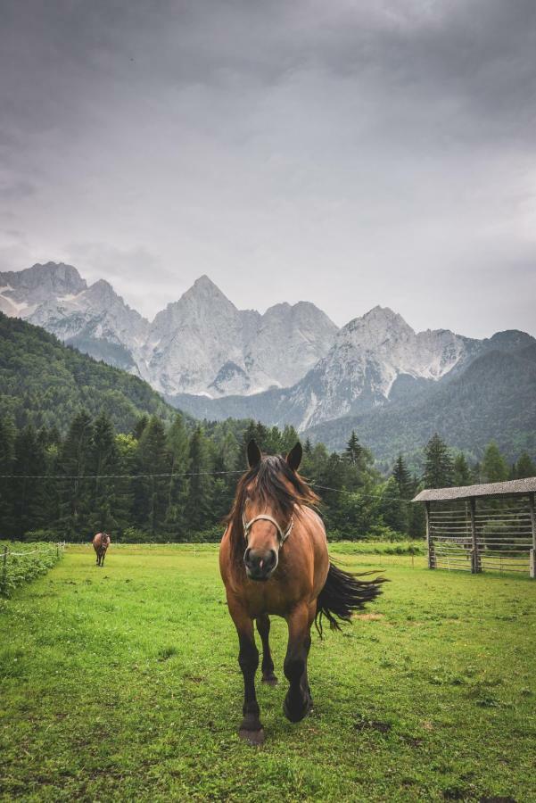 Klass 210 Kranjska Gora Dış mekan fotoğraf