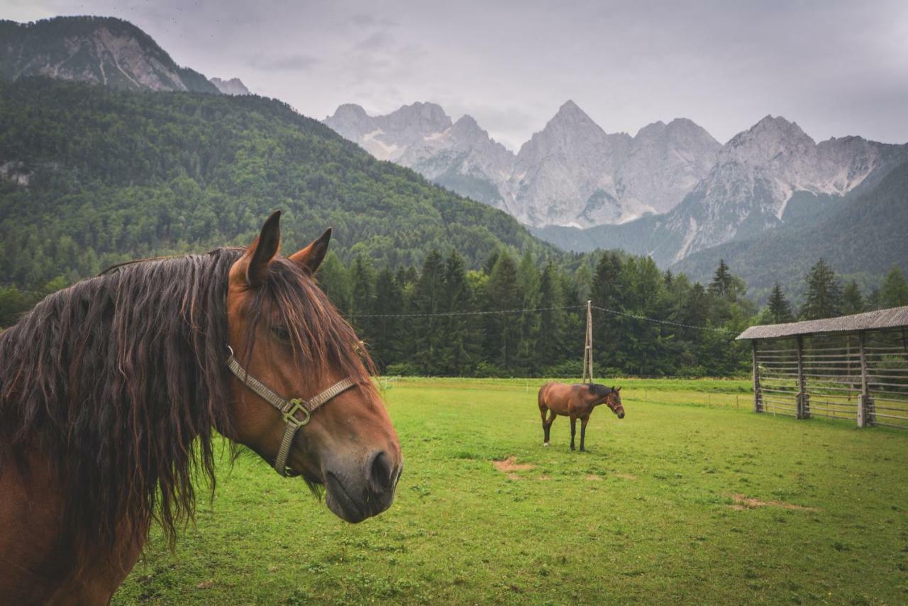 Klass 210 Kranjska Gora Dış mekan fotoğraf